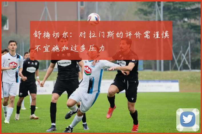 舒梅切尔：对拉门斯的评价需谨慎不宜施加过多压力