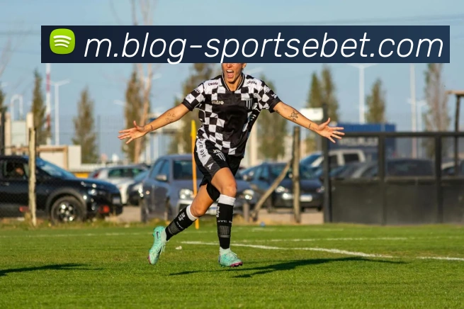 App Interface Preview