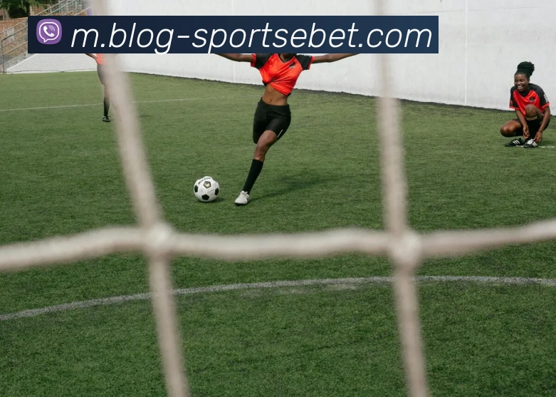 易倍体育APP 封面图